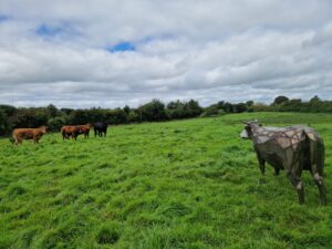 Cruach Design Sculpture Corten Steel Cow Irish Heritage Dexter Bóanna The Cow of a Thousand Pieces